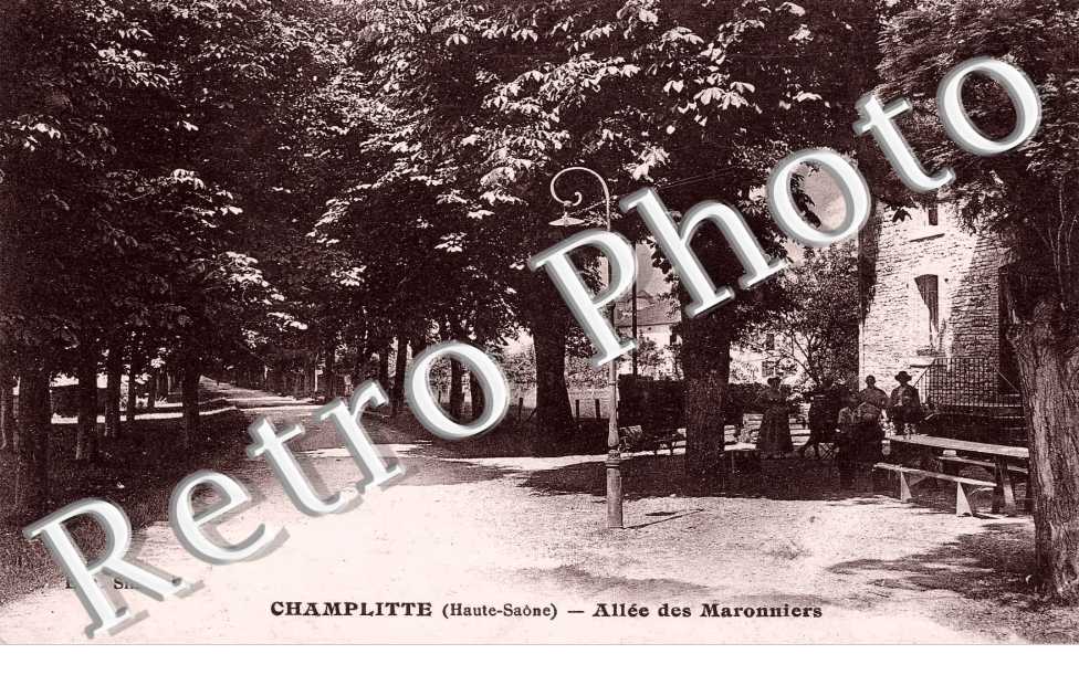 allee des marronniers
