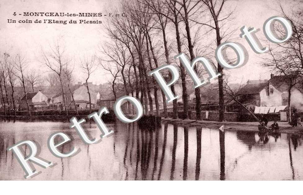 UN COIN DE L'ETANG