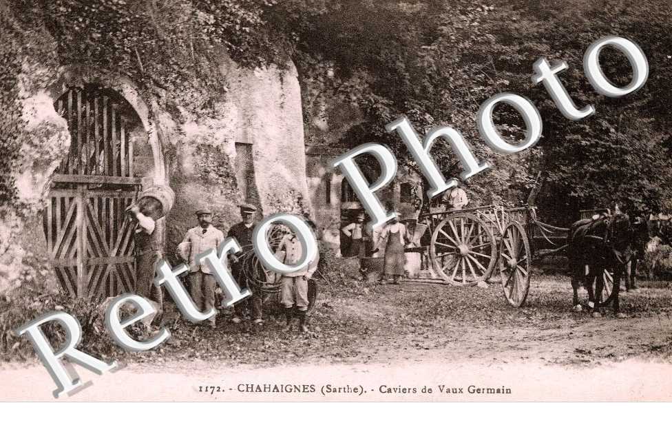 Caviers de Vaux Germain