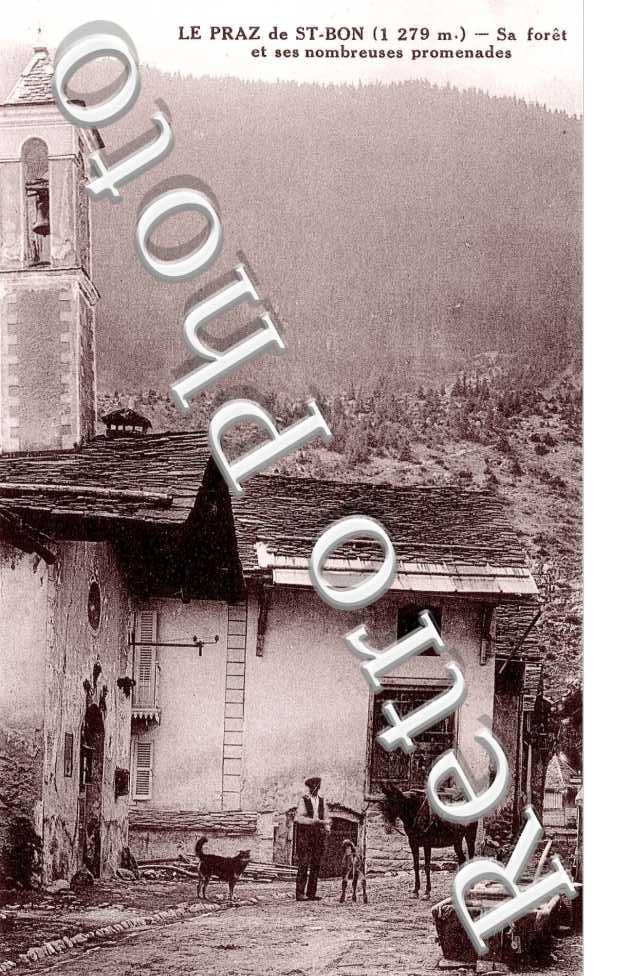 Le Praz de St Bon, la Foret et ses nombreuses Promenades