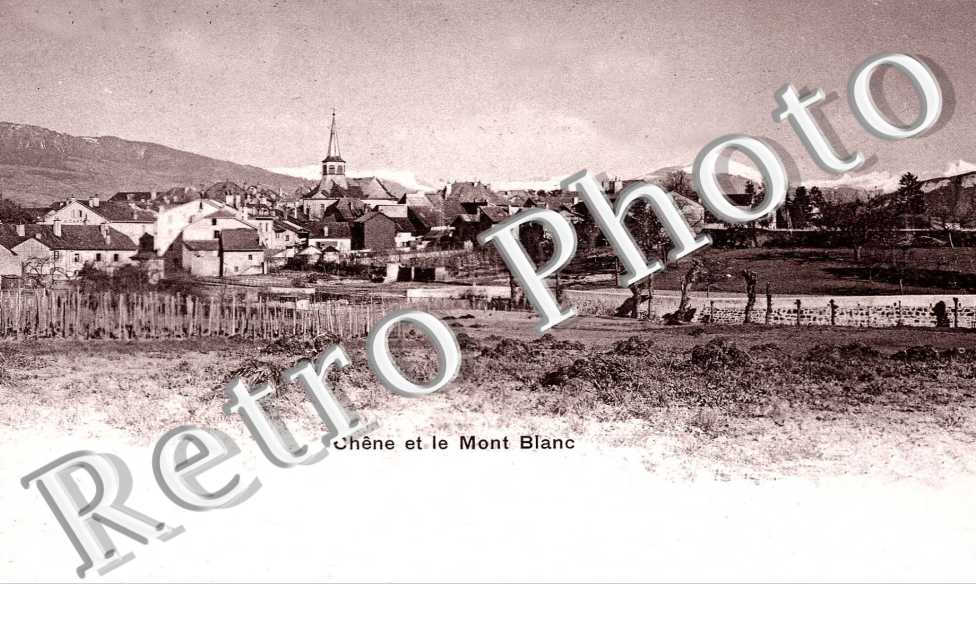Chene et le Mont Blanc