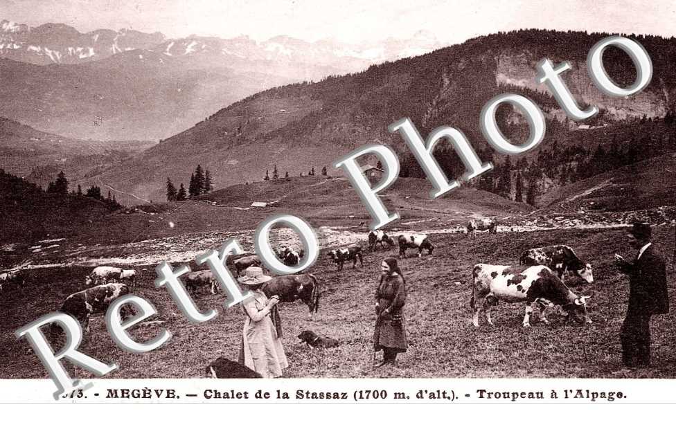 Chalet de la Stassaz - troupeau d'alpage