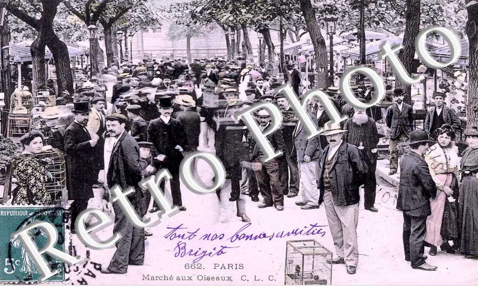 marche aux oiseaux