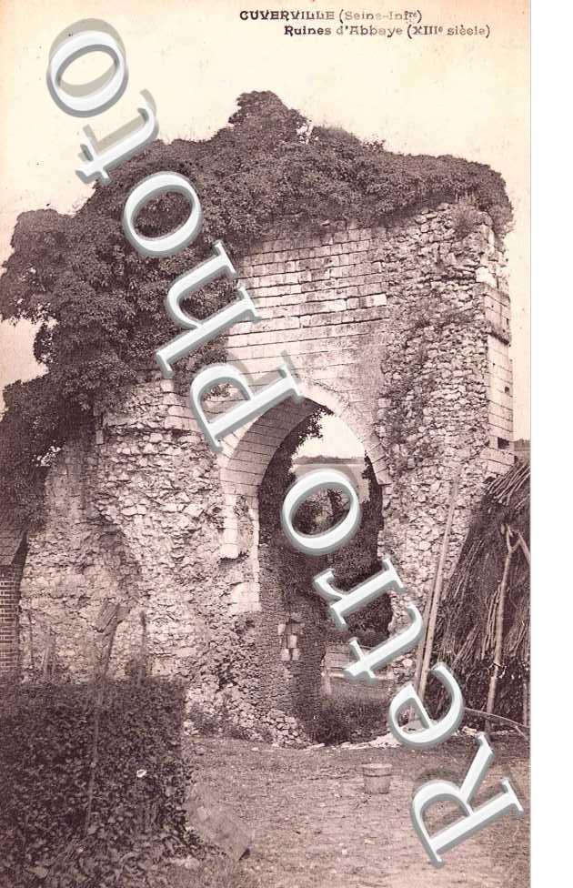 ruines de l'abbaye
