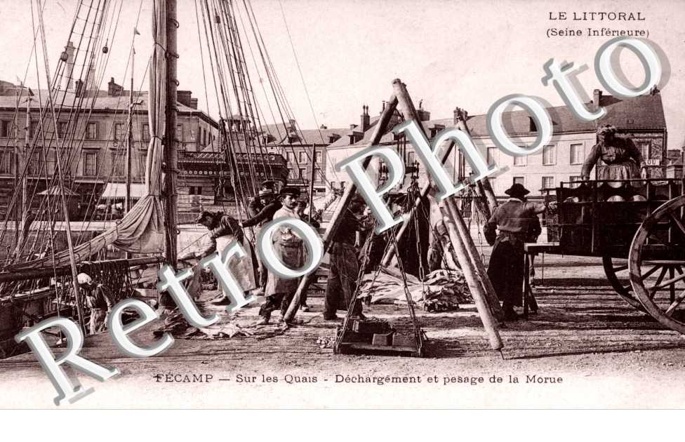 Sur les quais - Dechargement et pesage de la Morue