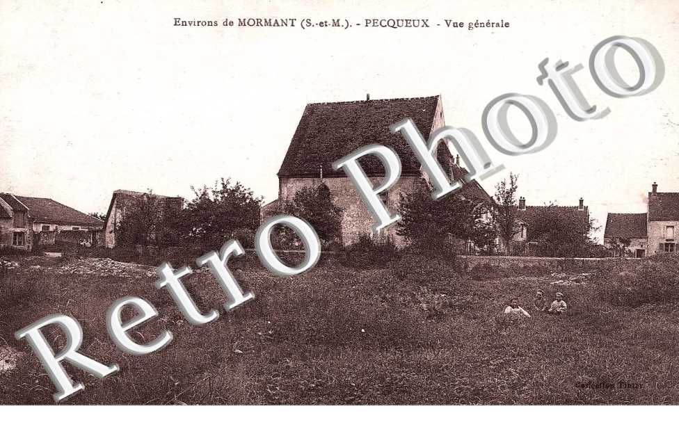 Pecqueux, vue generale