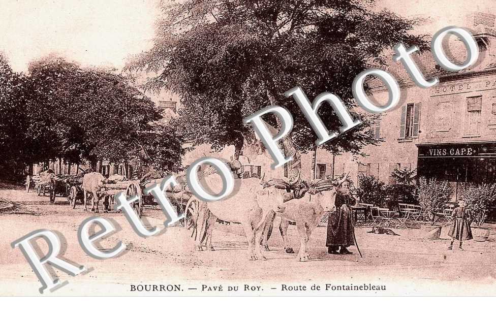 Pave du Roy - Route de Fontainebleau