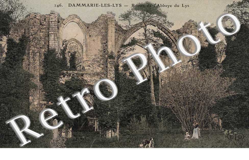 RUINES DE L'ABBAYE
