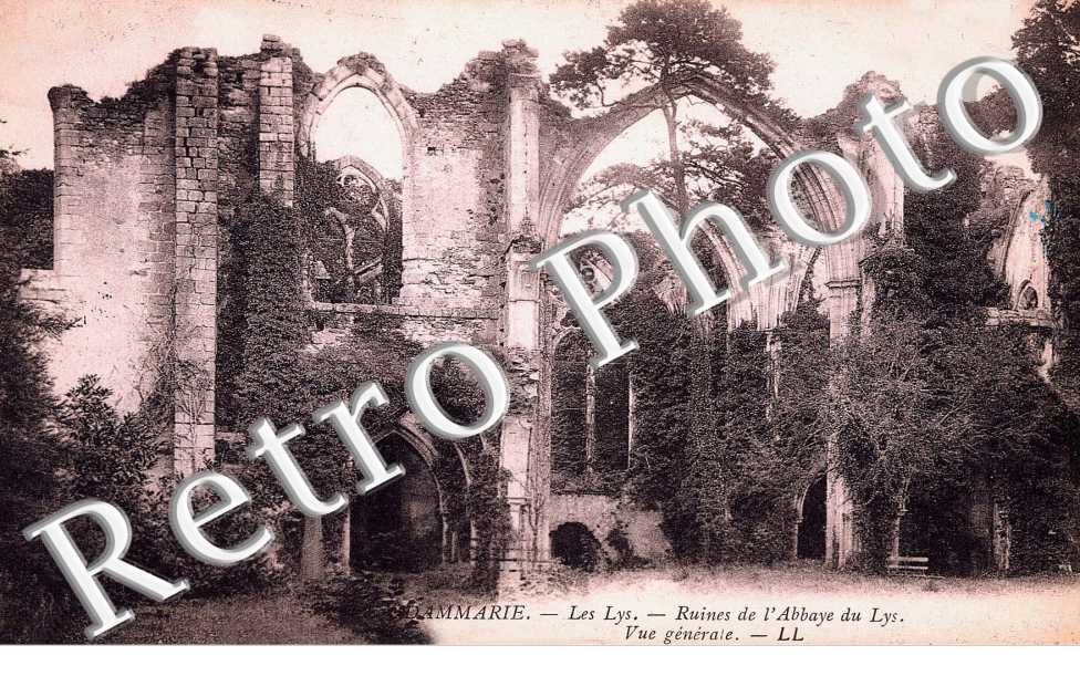RUINES DE L'ABBAYE