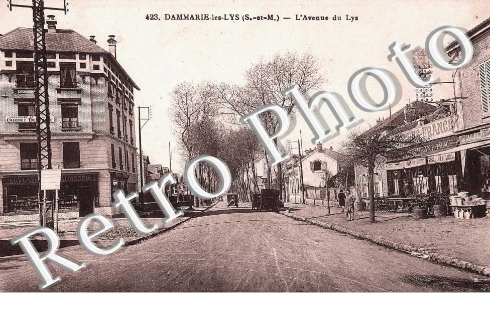 L'AVENUE DU LYS
