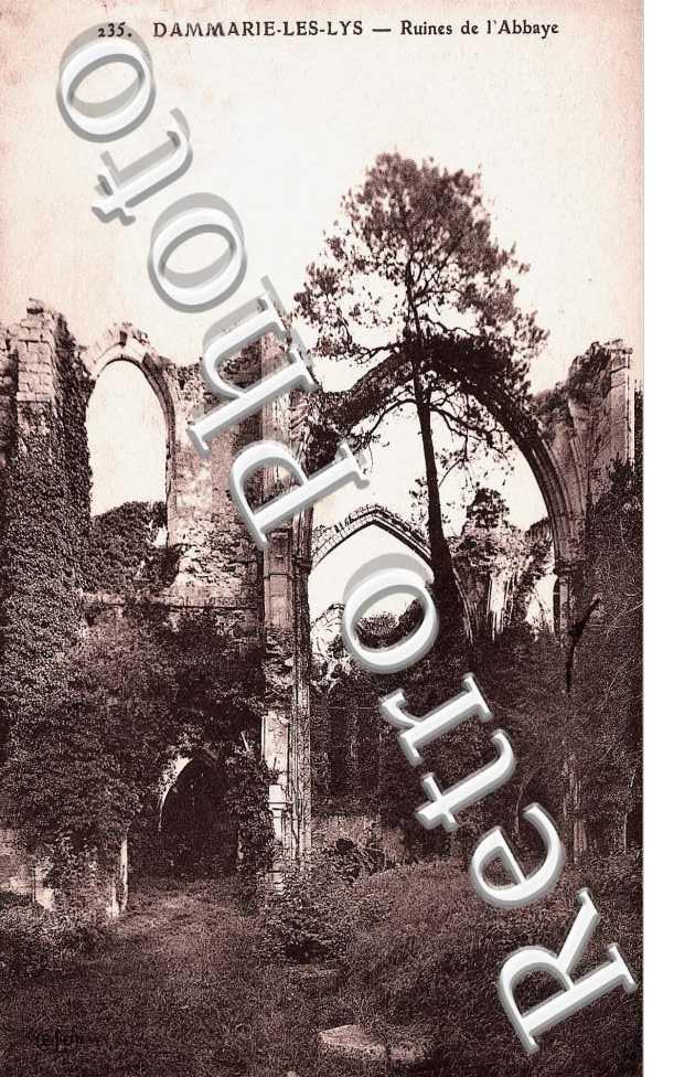 RUINES DE L'ABBAYE