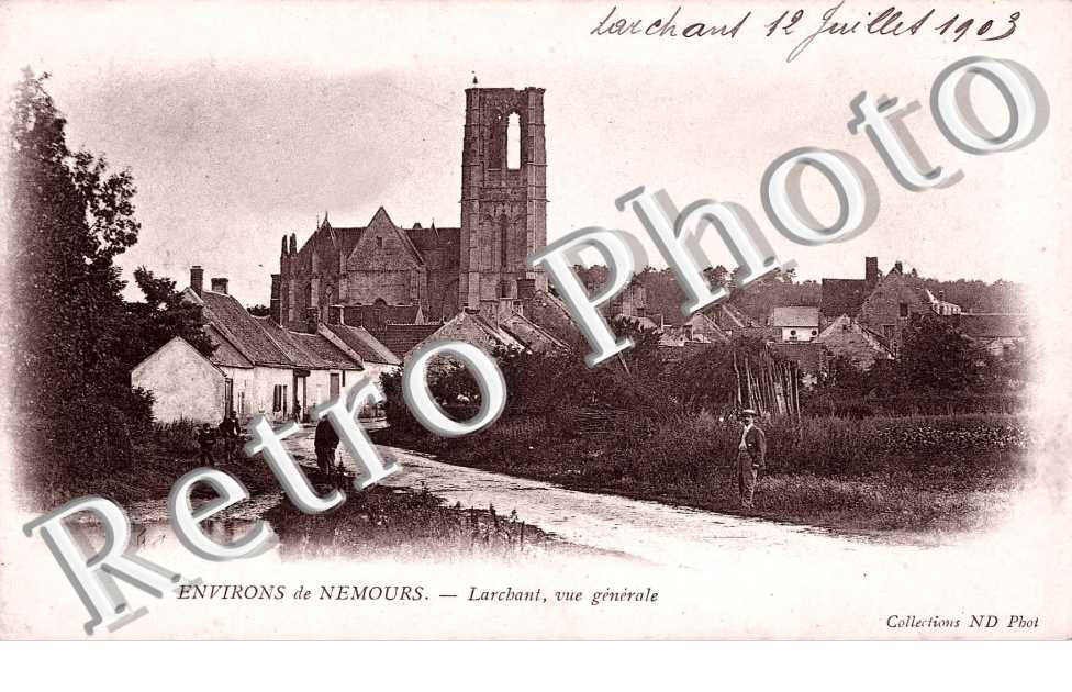 Vue générale de Larchant