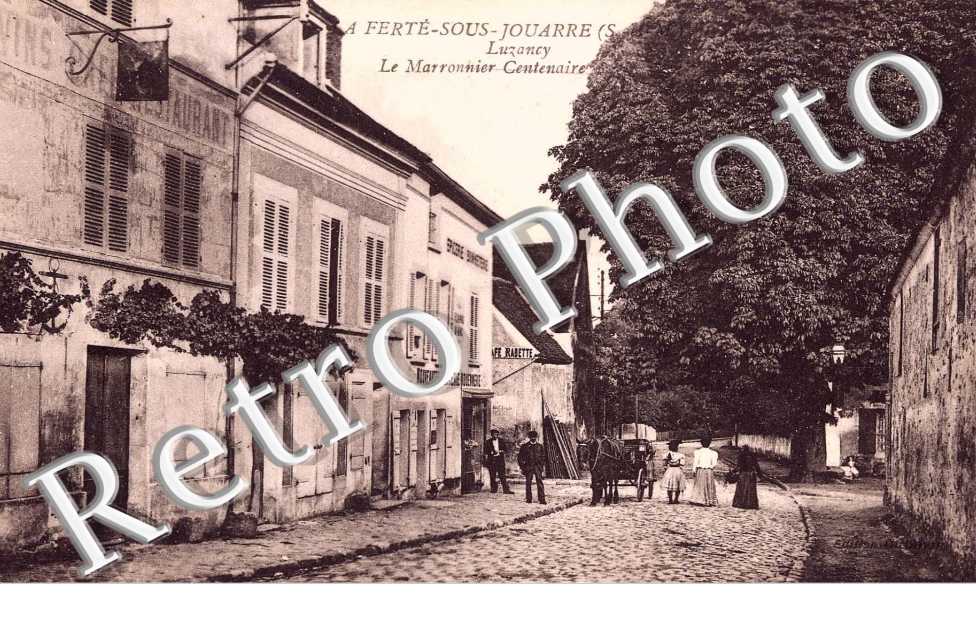 La Marronnier cenrenaire