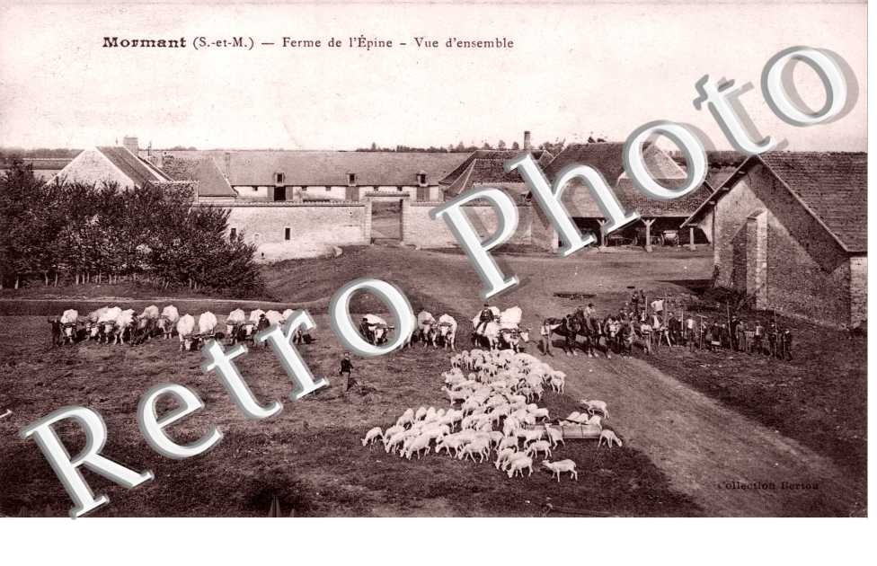 Ferme de L'Epine - Vue d'ensemble  (elevage)