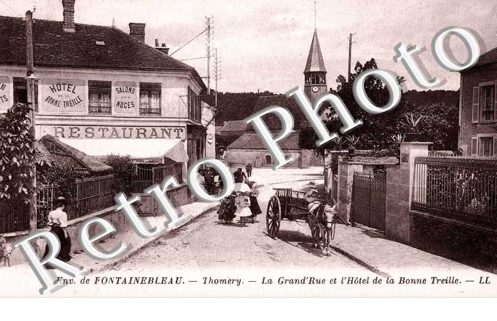 La grand'rue et l'hotel de la bonne Treille - attelage de cheval