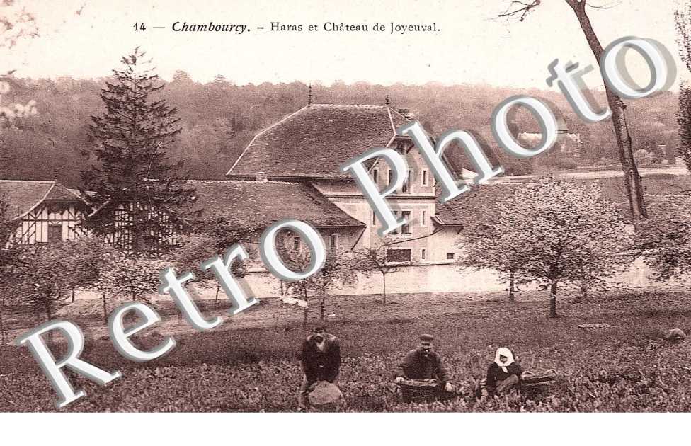 HARAS ET LE CHATEAU DE JOYEUVAL