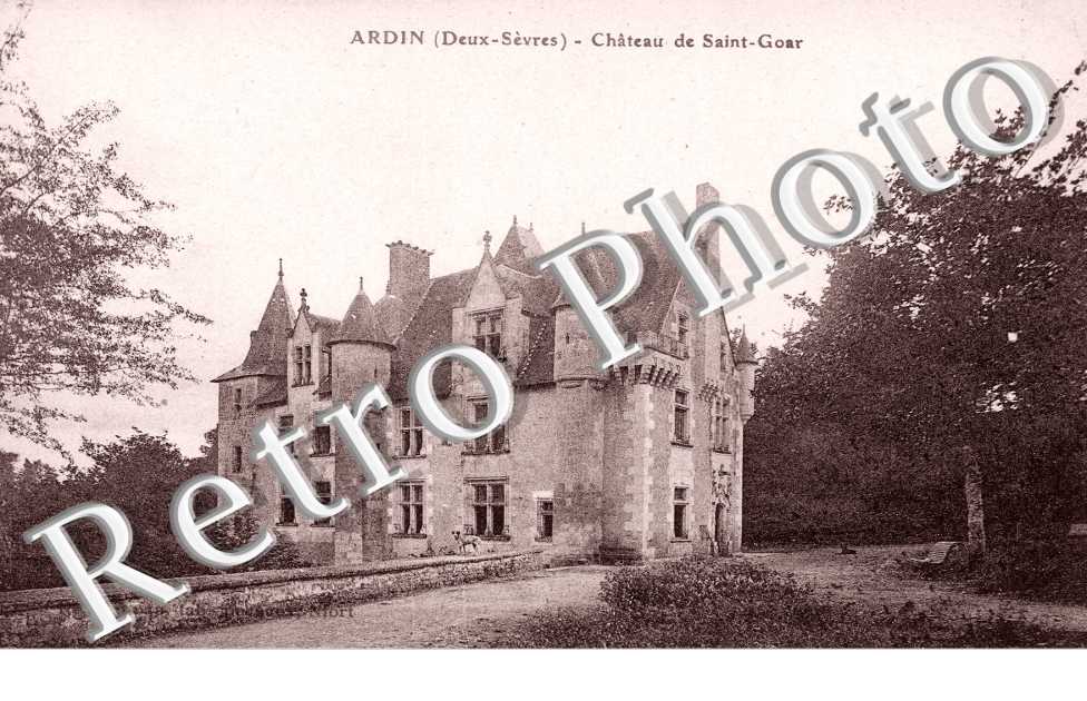 Chateau de Saint Goar