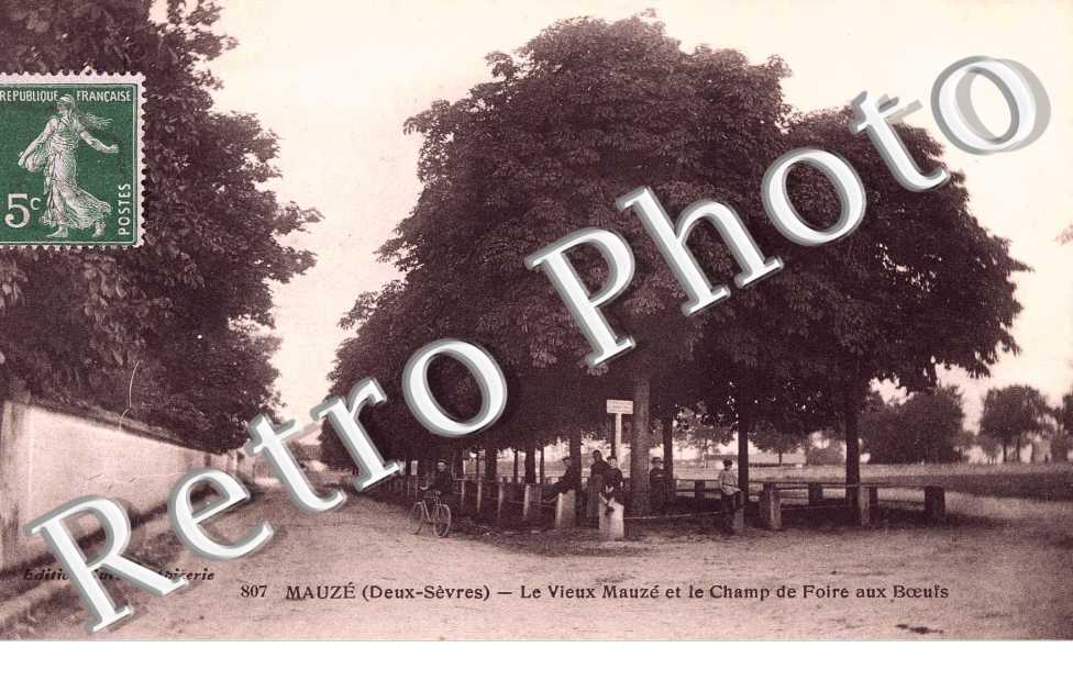 Le vieux Mauze et le champ de foire aux boeufs