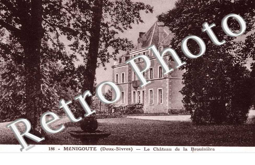 le chateau de la Brouiniere