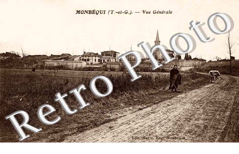 Vue generale