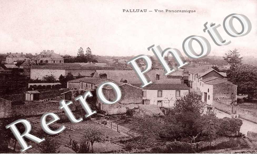 Vue panoramique