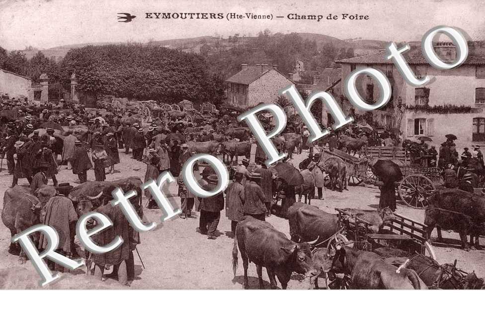 CHAMP DE FOIRE