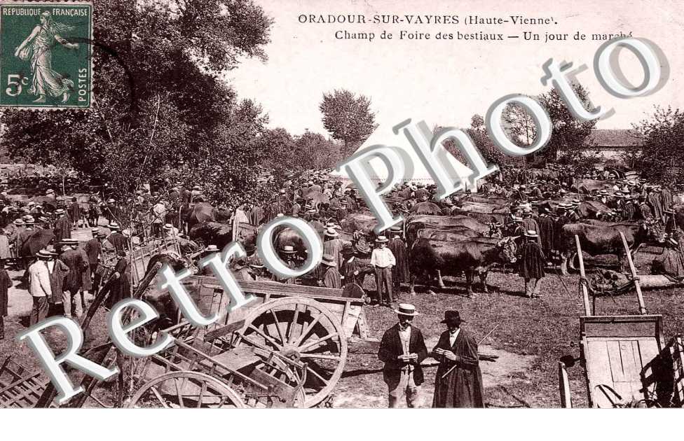 Champ de foire des bestiaux - Un jour de marche