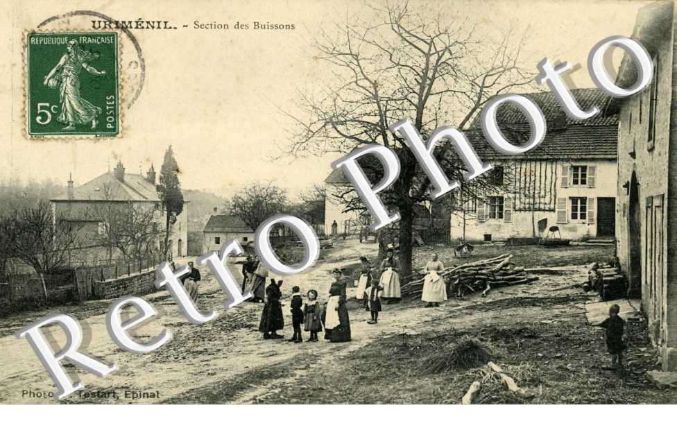 Section des buissons