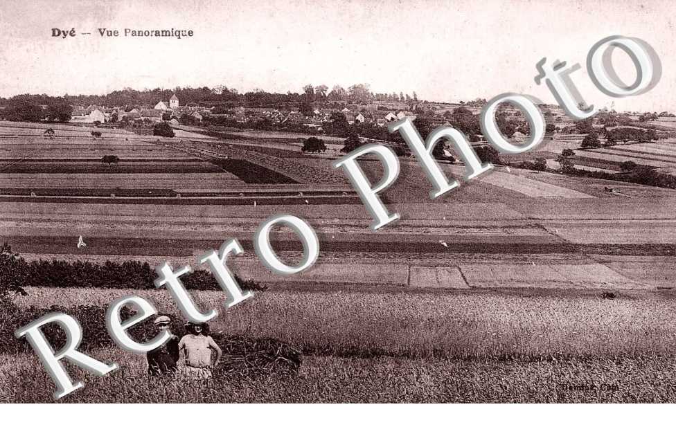 Vue Panoramique