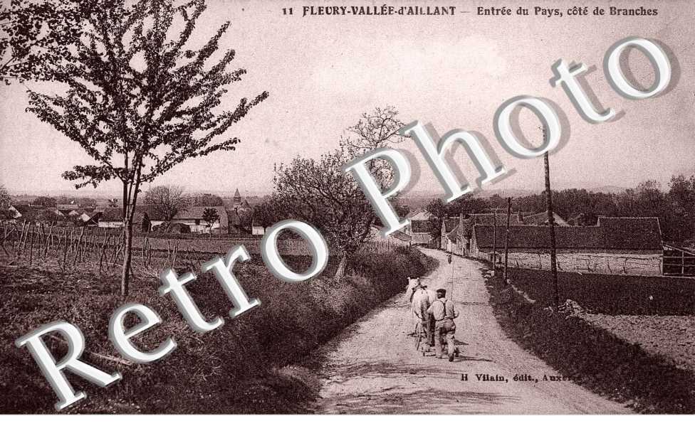 entree du pays, cote de Branches