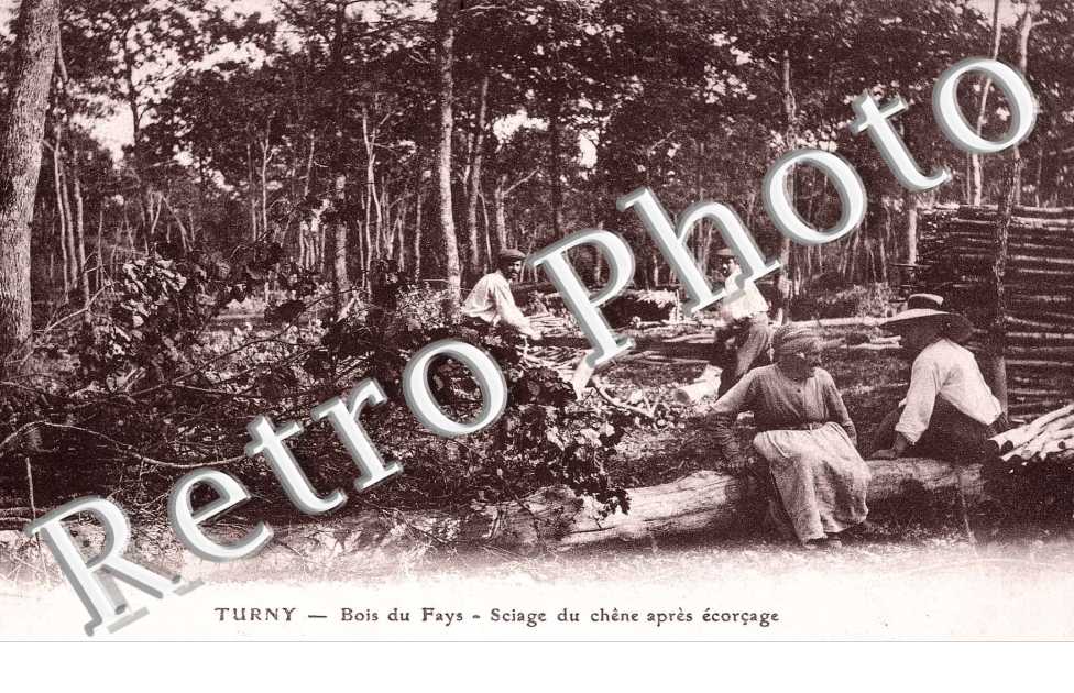 BOIS DU FAYS SCIAGE DU CHENE APRES ECORCAGE 
