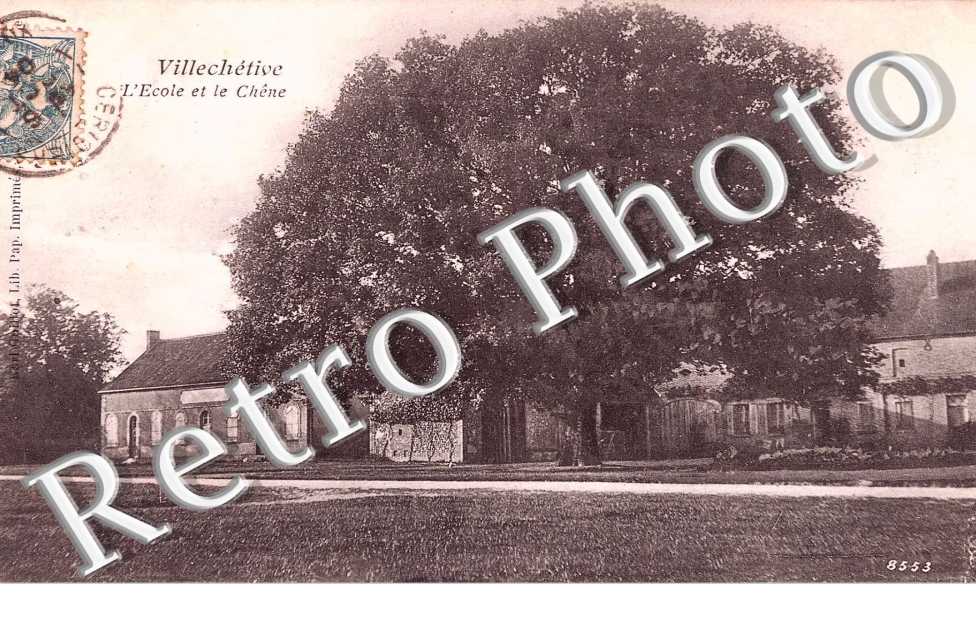 L'école et le chêne