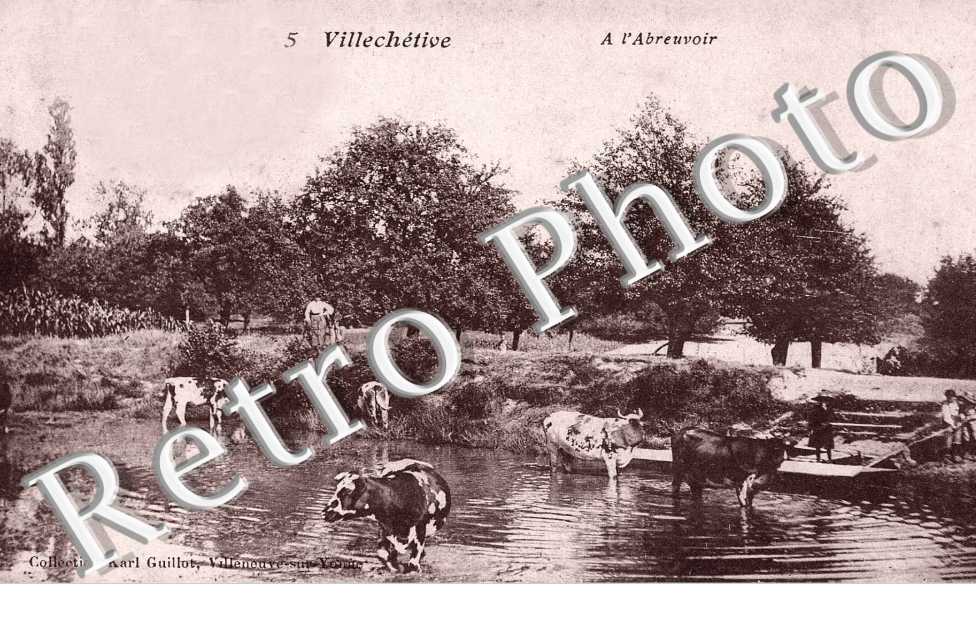 L'abreuvoir