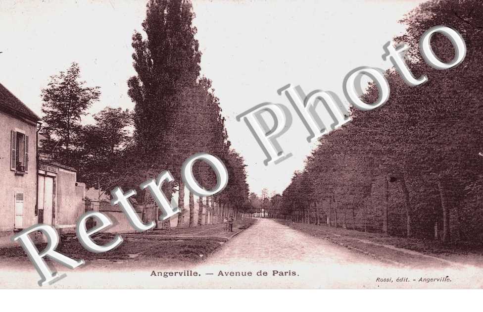 Avenue de Paris