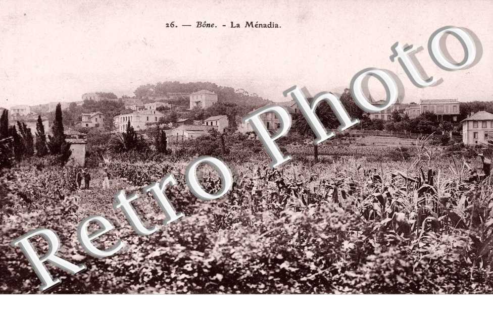 La Menadia