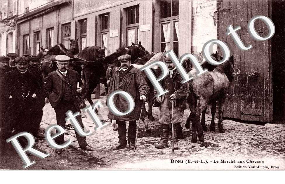 LE MARCHE AUX CHEVAUX