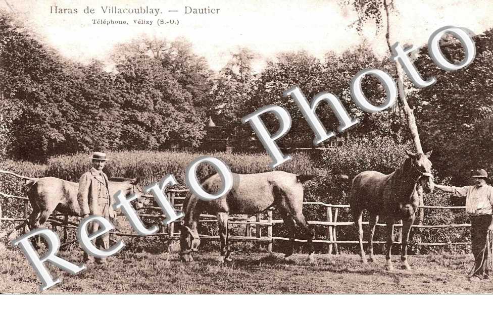 Haras de Villacoublay  Dautier