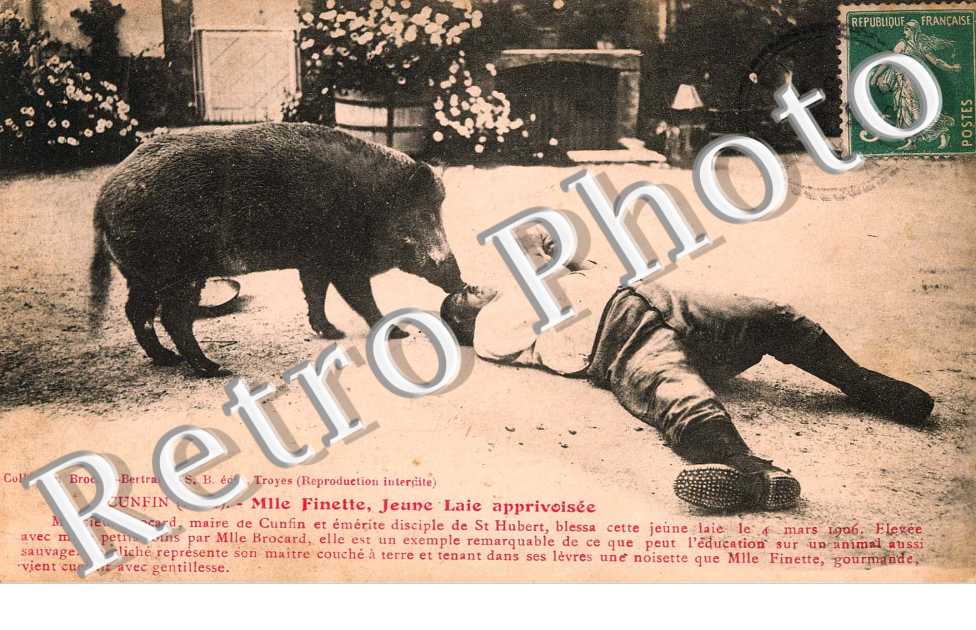 Mlle Finette, Jeune Laie apprivoisee