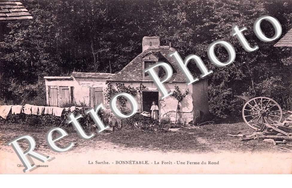 La foret - Une ferme du Rond