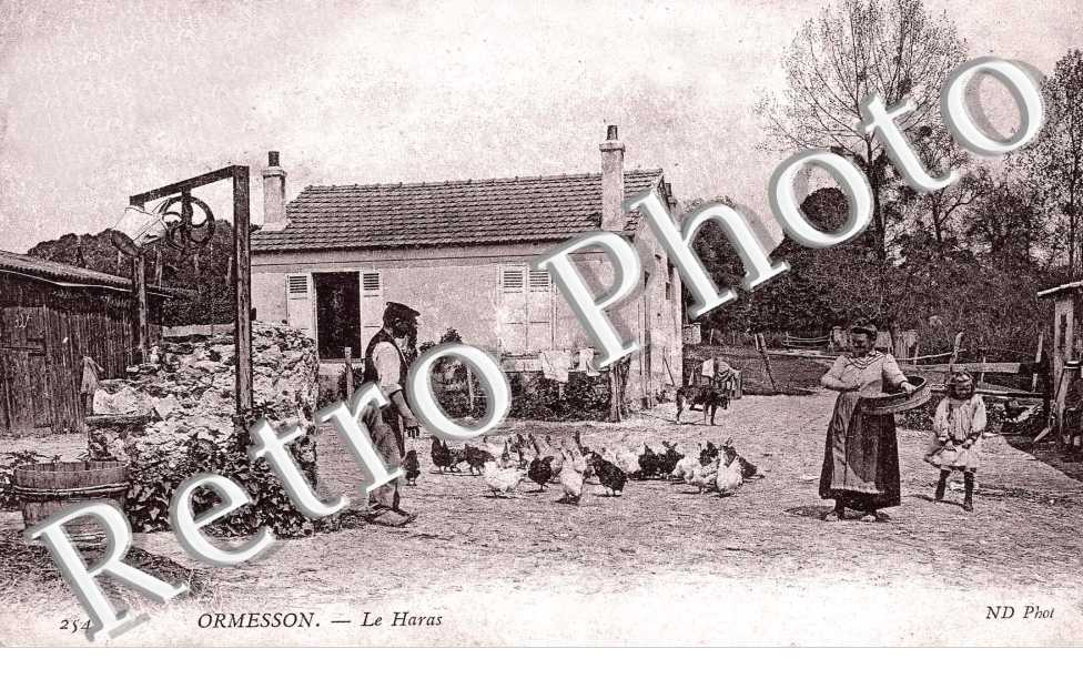 le haras