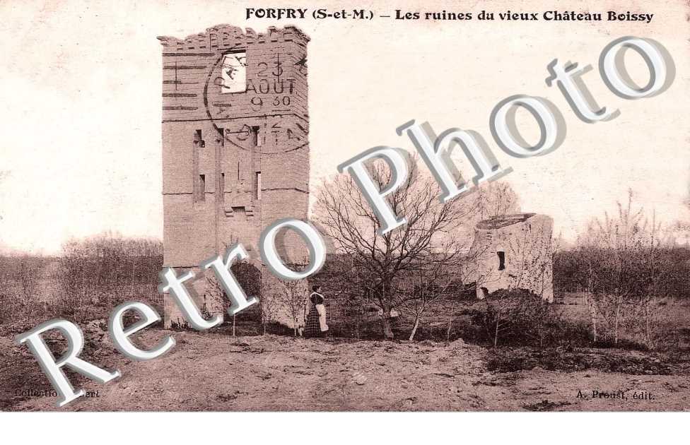 Les Ruines du Vieux Chateau Boissy