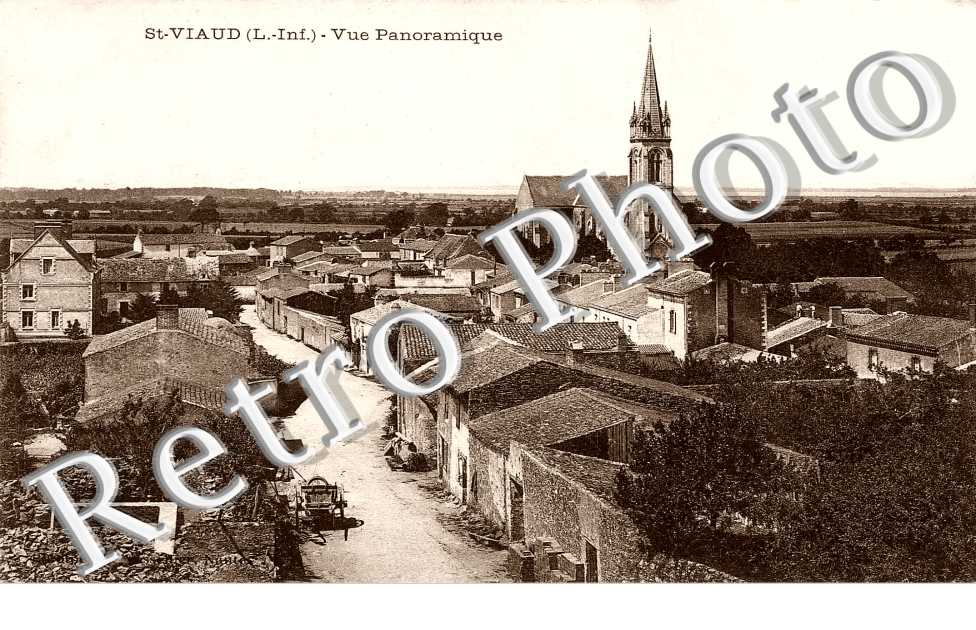 VUE PANORAMIQUE