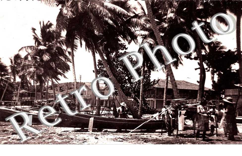 Barques sous les cocotiers