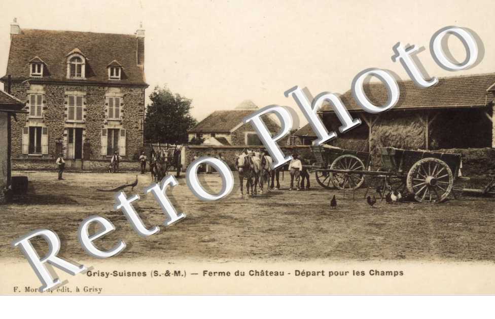 Ferme du Château - Départ pour les Champs