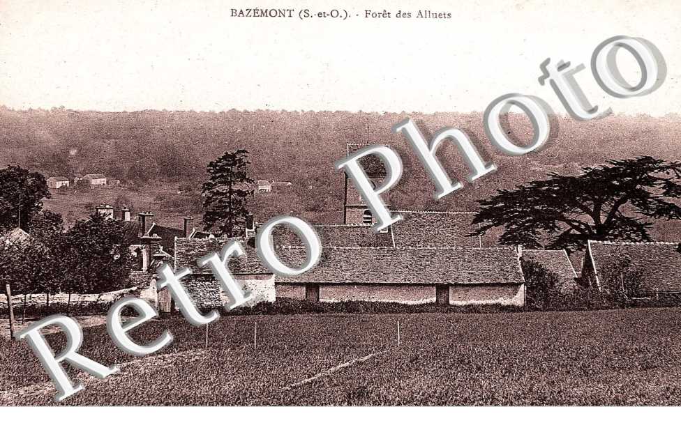 foret des Alluets