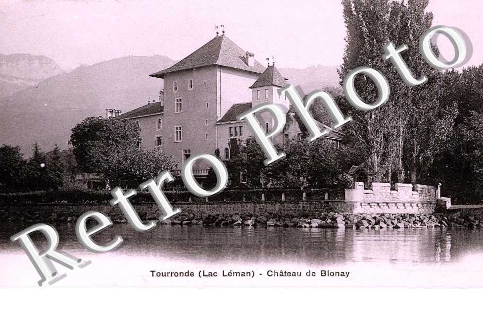 Tourronde, Chateau de Blonay