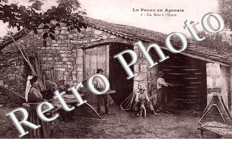 La mise a l'Etuve
