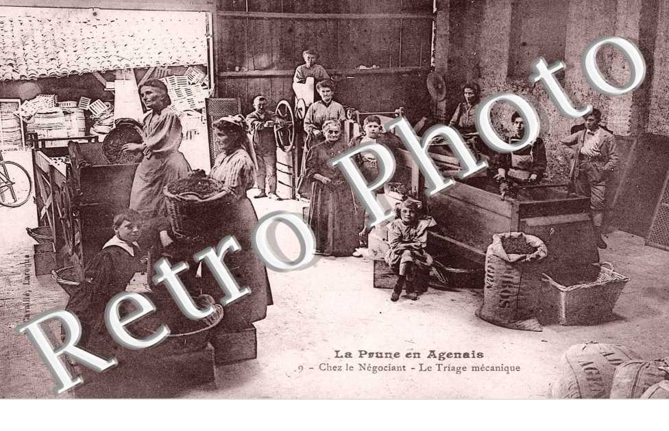 Chez le Negociant - triage mecanique