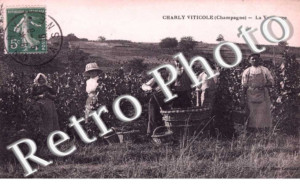 viticole La Vendange