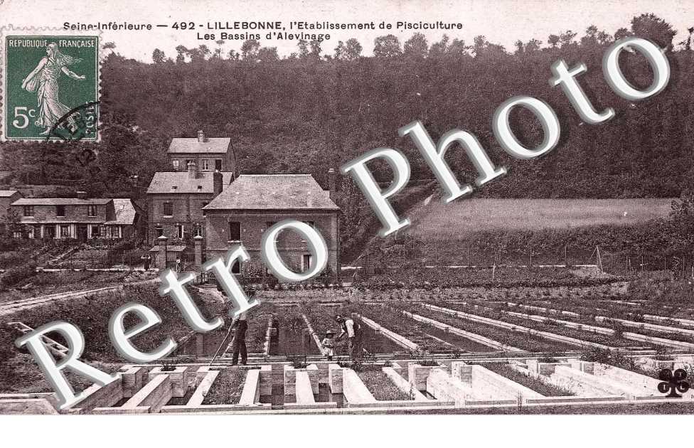 Etablissement de pisciculture - bassin d'alevinage